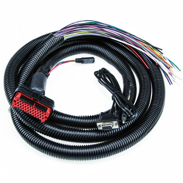 MicroSquirt V3 Engine Management System ECU+WARNING