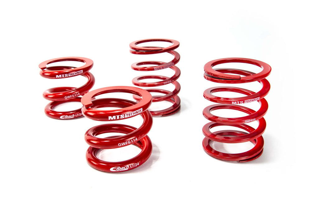 BMW 3 Coupe (E36) all versions. STANCE MTS/Eibach ring nut kit