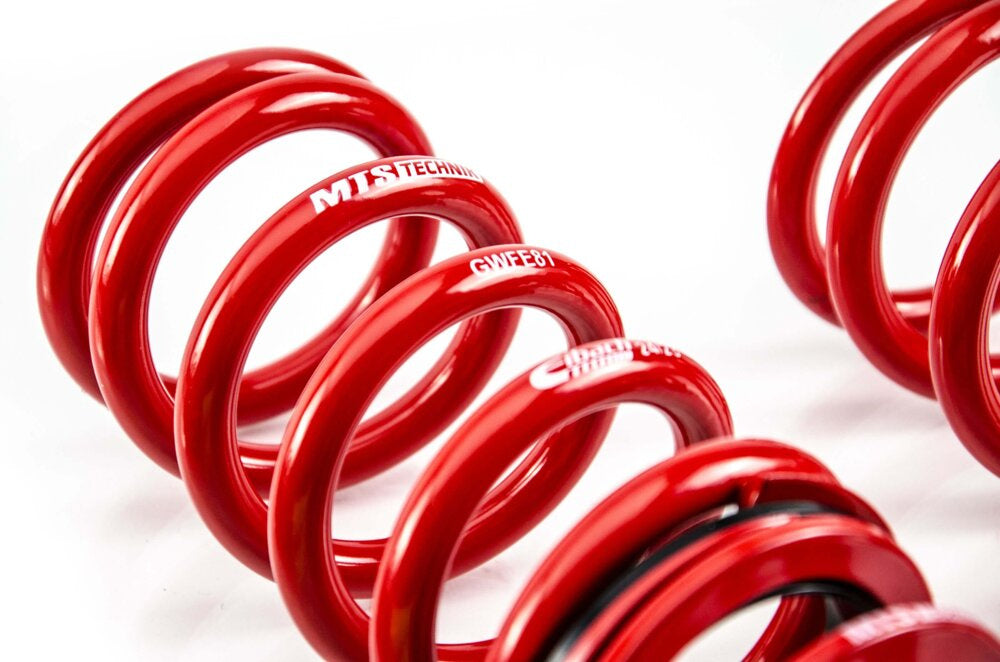 VW GOLF VI (5K1) 2.0R/TFSI/TDI 4MOTION, STAINLESS STEEL ring nut kit + MTS/Eibach Camber kit
