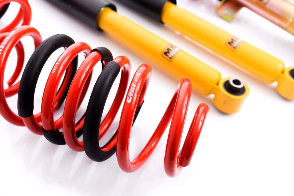 Ford USA MUSTANG 5 V&/V8 Coupe, Coilover Kit MTS/Eibach