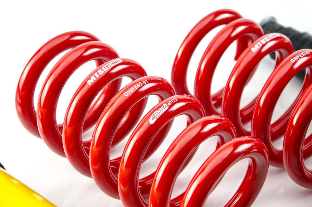 Mercedes-Benz 190 (W201) Coilover Kit MTS/Eibach