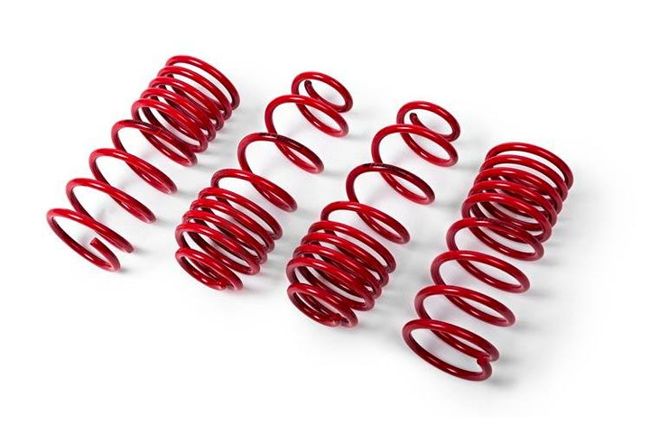 Toyota SUPRA (DB) GR 3.0, MTS lowering springs -30mm