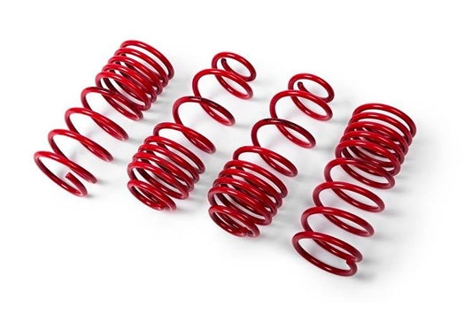 Toyota SUPRA (DB) 2.0, MTS lowering springs -30mm