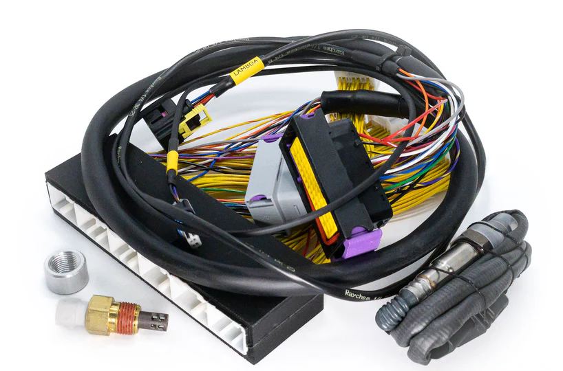 LEXUS IS300 Cablaggio Plug and Play per EMU BLACK