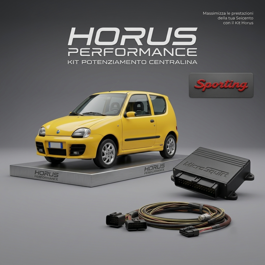 FIAT Seicento SPORTING, KIT ECU+CABLAGGIO MICROSQUIRT V3