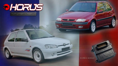 PEUGEOT 106/CITROEN SAXO 1.6 ,KIT ECU+CABLAGGIO MICROSQUIRT V3