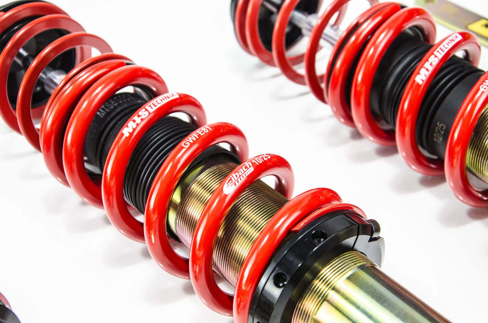 Mini (R56) MTS/Eibach Street Adjustable Suspension Kit 