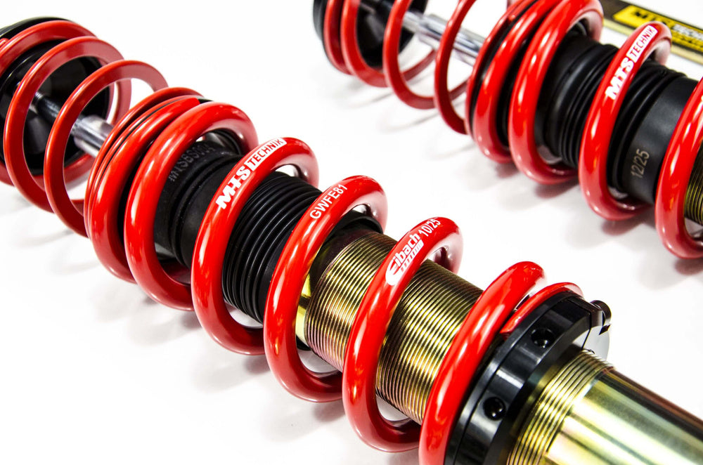 Mini (R56) MTS/Eibach Street Adjustable Suspension Kit 