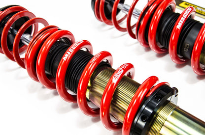 Mini (R56) MTS/Eibach Street Adjustable Suspension Kit 